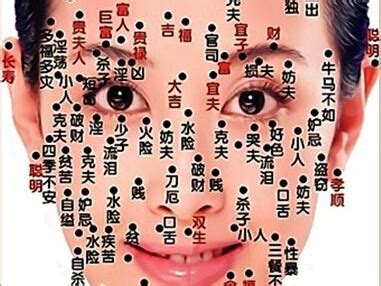 獅子鼻女人|【獅子鼻女人】獅子鼻女人的面相命理解析：事業心強、愛情專一。